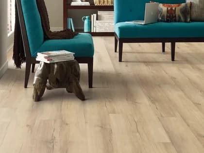 Shaw Floors Endura Plus