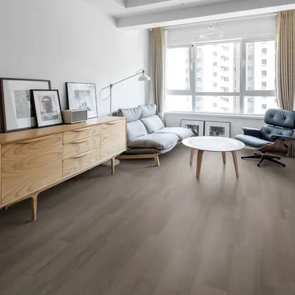 Shaw Floors Infinite - 12