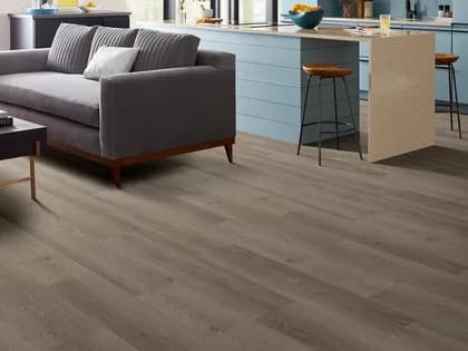 Shaw Floors Infinite LL