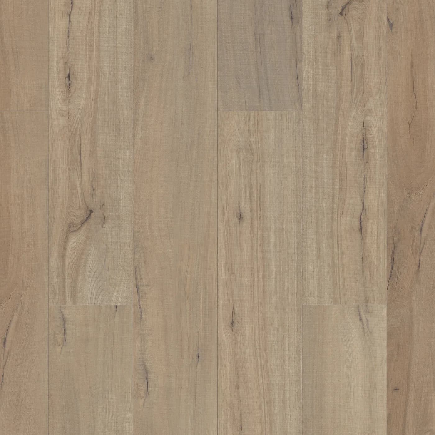 Shaw Floors Paladin Plus