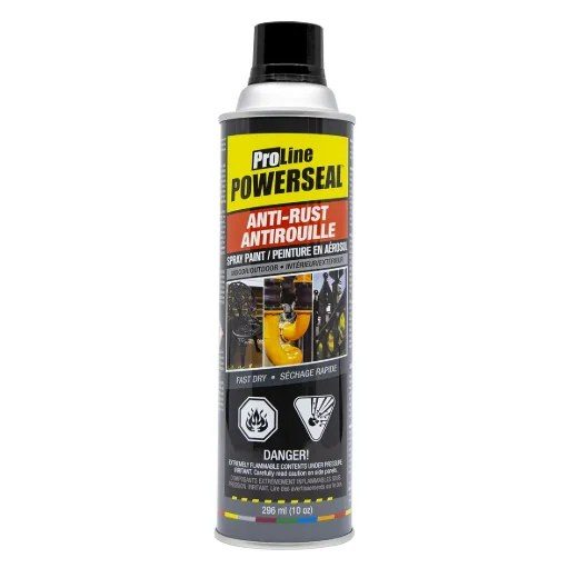 Proline Anti-rust Spray Paint 296 mL (10 oz) Gloss Black CAD