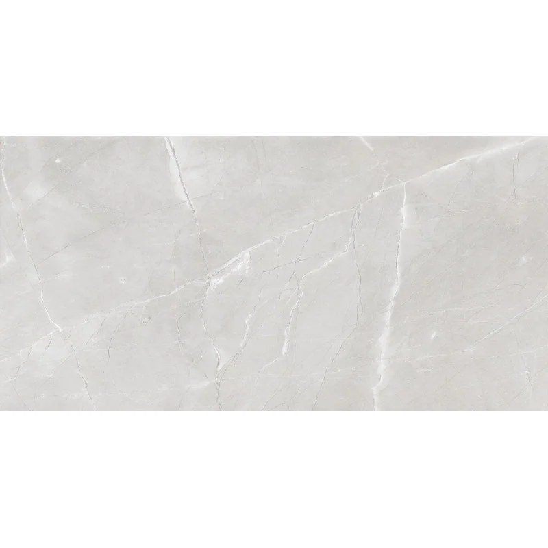 Vasto Smoke 24 x 48 Polished